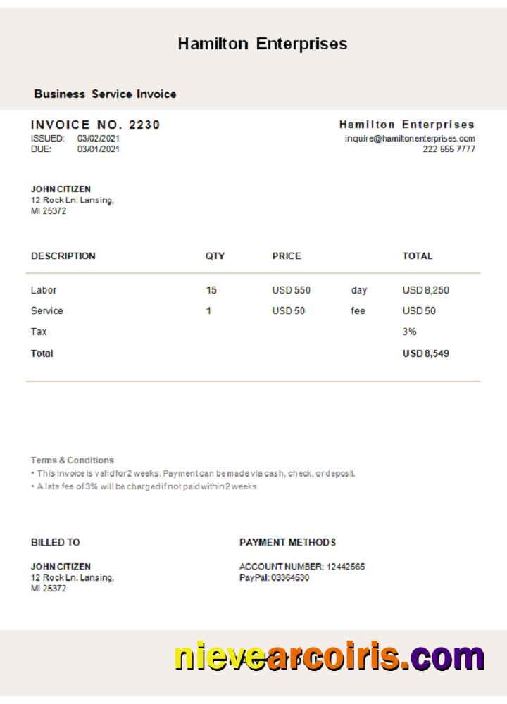USA Hamilton Enterprises invoice